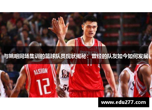 与姚明同场集训的篮球队员现状揭秘：曾经的队友如今如何发展