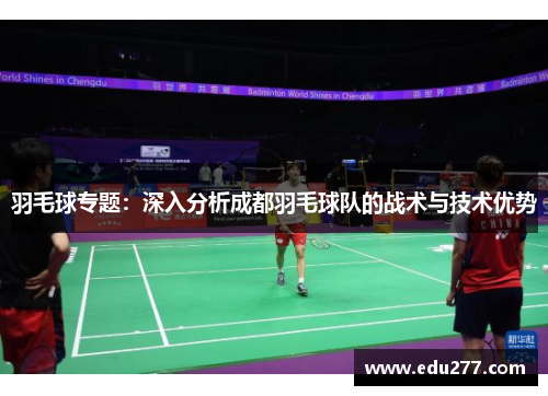 羽毛球专题：深入分析成都羽毛球队的战术与技术优势