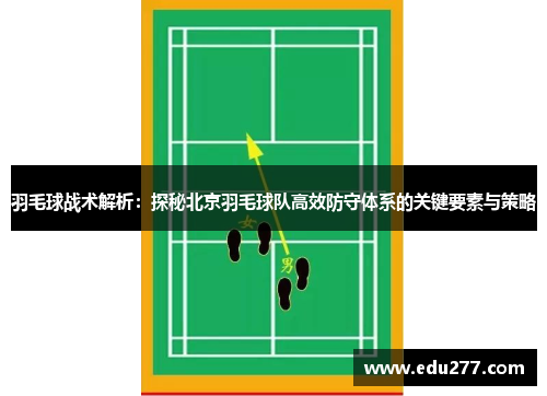 羽毛球战术解析：探秘北京羽毛球队高效防守体系的关键要素与策略