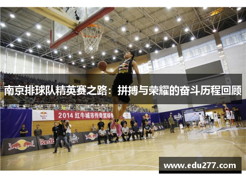 南京排球队精英赛之路：拼搏与荣耀的奋斗历程回顾
