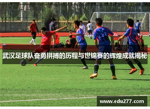 武汉足球队奋勇拼搏的历程与世锦赛的辉煌成就揭秘